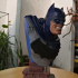 The Dark Knight bust print image