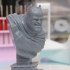 The Dark Knight bust print image