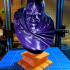 The Dark Knight bust print image