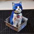 Schrodinky: British Shorthair Cat In A Box - 3D printable multipart model - multi material package print image