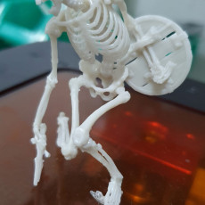 Picture of print of Evil Skeleton Warrior