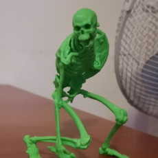 Picture of print of Evil Skeleton Warrior