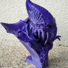 Picture of print of The Soul Stealer - Bust