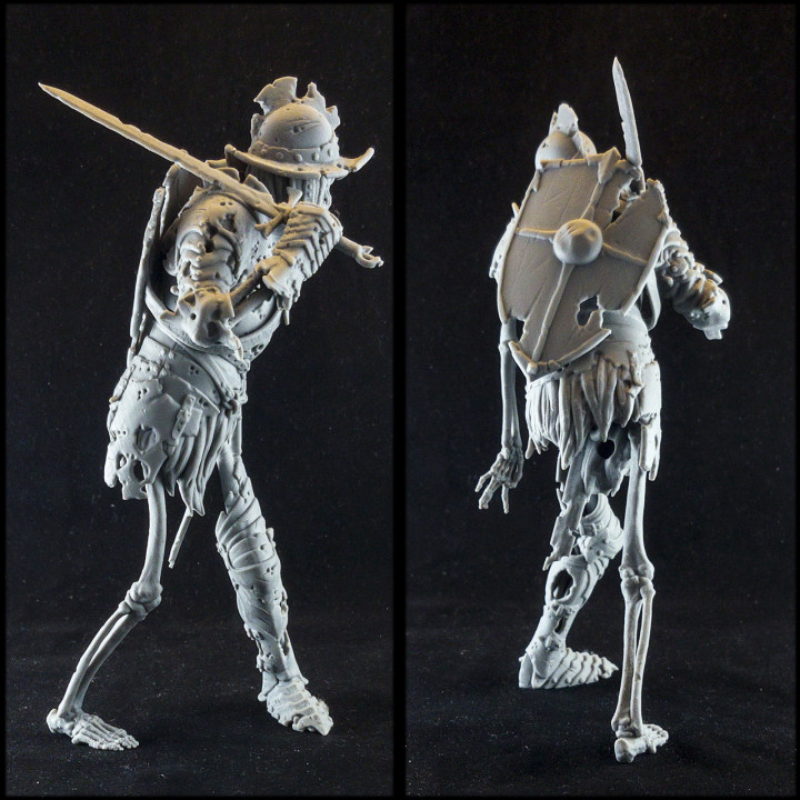 Evil Skeleton Knight image