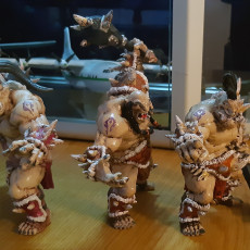 Picture of print of Ogre Marauders - 4 Modular Units