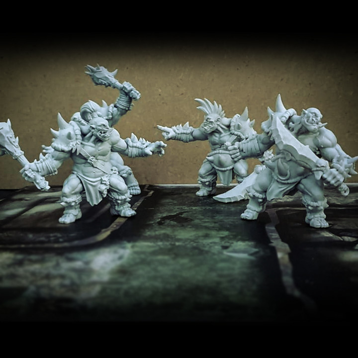 Ogre Marauders - 4 Modular Units image