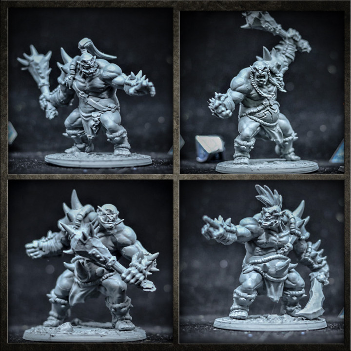 Ogre Marauders - 4 Modular Units image