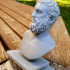 Bust of an unknown philosopher print image