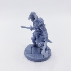 Picture of print of RPG Barbarian- Multipart with build options (32mm scale)