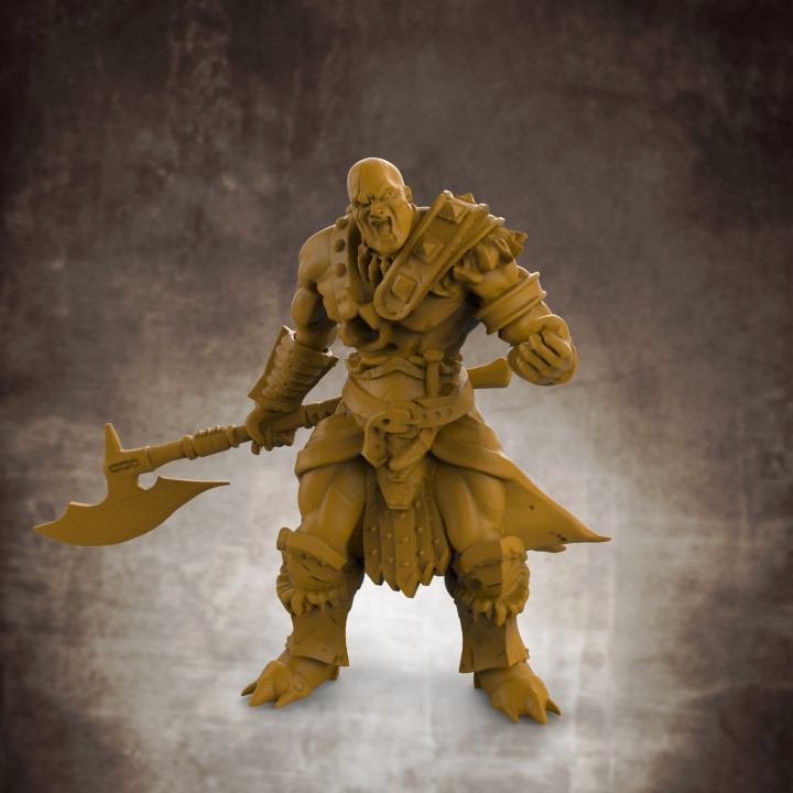 RPG Barbarian- Multipart with build options (32mm scale) image