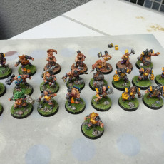 Picture of print of COMPLETE Dwarven Defenders (presupported)