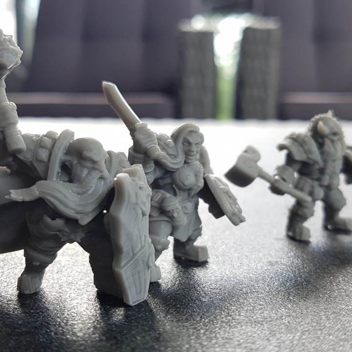 COMPLETE Dwarven Defenders (presupported) image