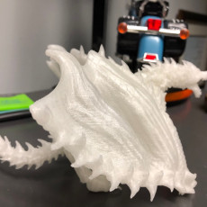 Picture of print of Dragon