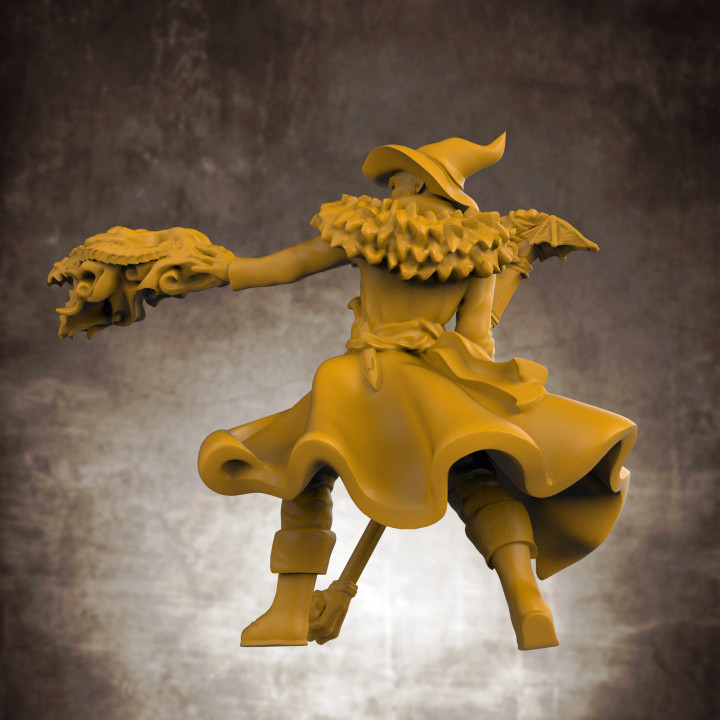 RPG Wizard- Multipart with build options (32mm scale) image