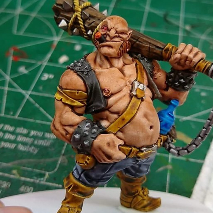 Dunn Half-Ogre - Half Ogre Thug image