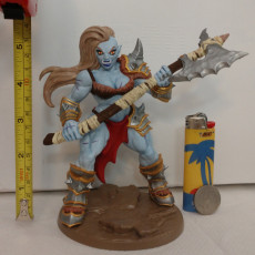 Picture of print of Orc Barbarian - C (Lady) Modular