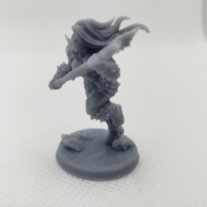 Picture of print of Orc Barbarian - D (Lady) Modular