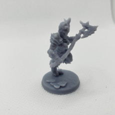 Picture of print of Orc Barbarian - D (Lady) Modular