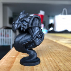 Picture of print of Mimic