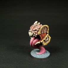 Picture of print of Mimic