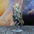 Wraith - D&D Miniature print image