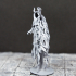 Wraith - D&D Miniature print image