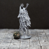 Wraith - D&D Miniature print image