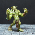 Troll - D&D Miniature print image