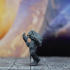 Troll - D&D Miniature print image