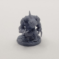 Picture of print of Wereshark_Set