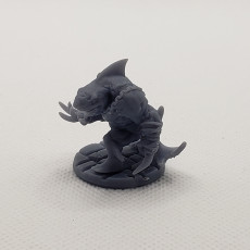 Picture of print of Wereshark_Set