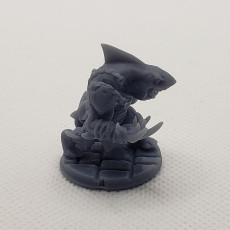 Picture of print of Wereshark_Set