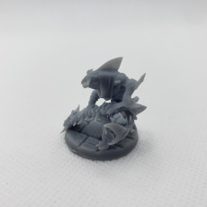 Picture of print of Wereshark_Set