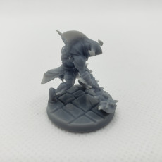 Picture of print of Wereshark_Set