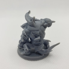 Picture of print of Wereshark_Set