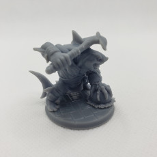 Picture of print of Wereshark_Set