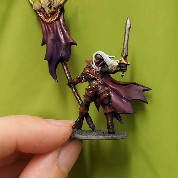 Soulless Bloodseeker - D Modular Unit (Lady) image