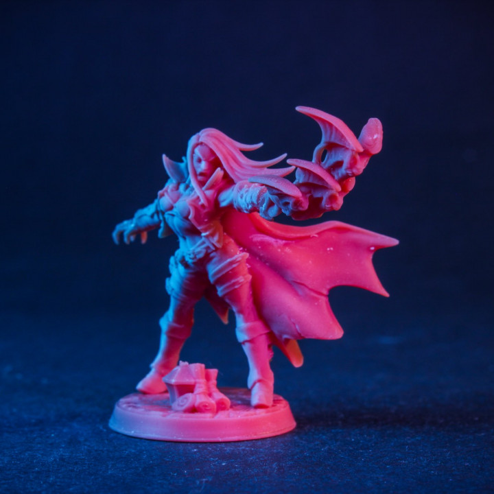 Soulless Bloodseeker - D Modular Unit (Lady) image