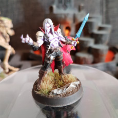 Picture of print of Soulless (Vampire) Bloodseekers - 4 Modular + 2 Heroes