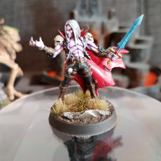 Picture of print of Soulless (Vampire) Bloodseekers - 4 Modular + 2 Heroes