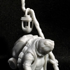 Picture of print of Turtle Traveller - NPC Character - 2 Poses