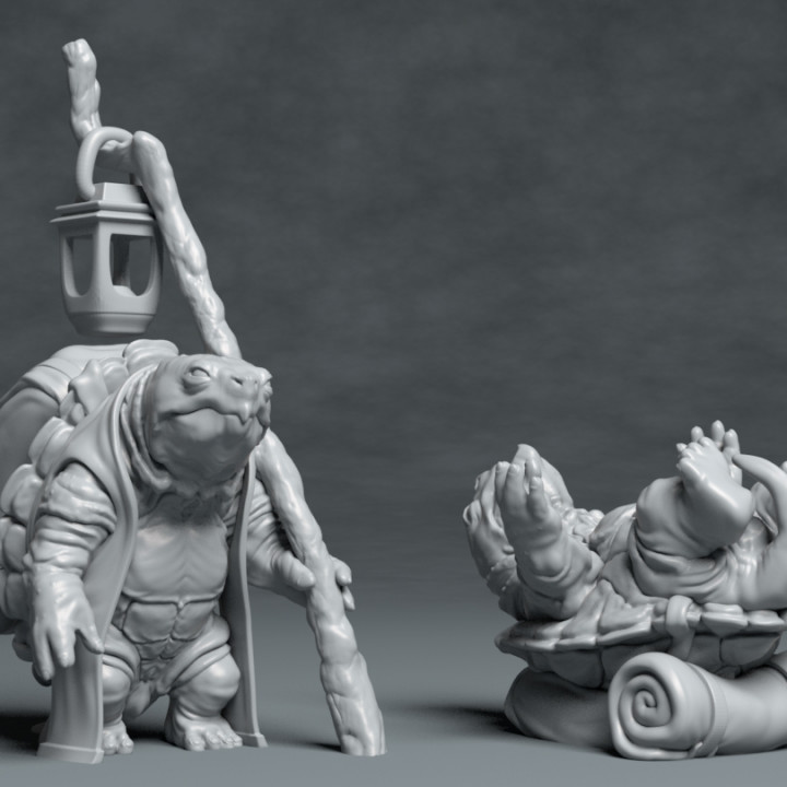 Turtle Traveller - NPC Character - 2 Poses image