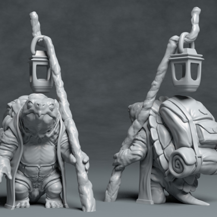 Turtle Traveller - NPC Character - 2 Poses image