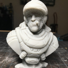 Picture of print of "Sarge" bust