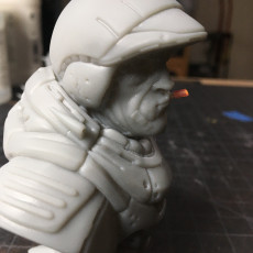 Picture of print of "Sarge" bust