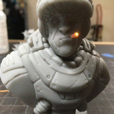 Picture of print of "Sarge" bust