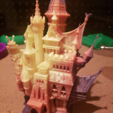 Picture of print of Vampire Castle