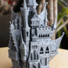 Picture of print of Vampire Castle