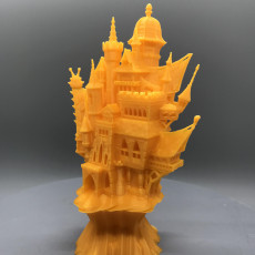 Picture of print of Vampire Castle