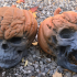 Evil Pumpkin Skulls print image